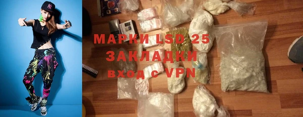 молекула духа Богородицк