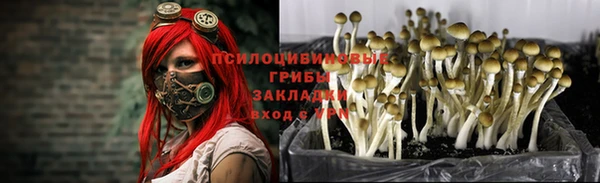 молекула духа Богородицк