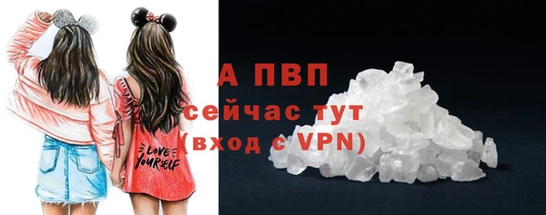 молекула духа Богородицк