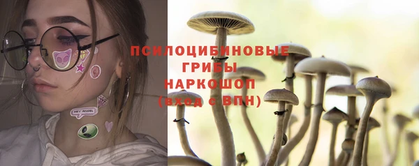 герыч Богородск