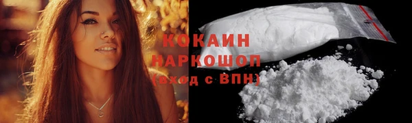 молекула духа Богородицк
