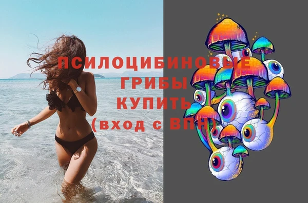 MDMA Бородино