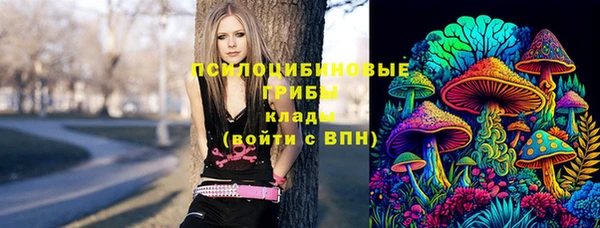 молекула духа Богородицк